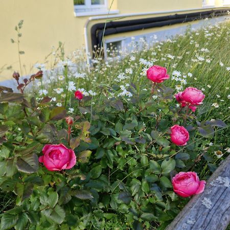 Paeitara Hof Villa Marianske Lazne Bagian luar foto